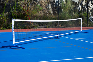 Filet portatif Apex Pickleball